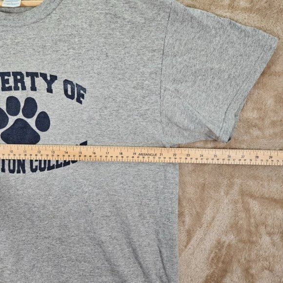 Fire Rescue Mens T-Shirt Size L Gray Property Of Lambton College Short Sleeve - Picture 2 of 10